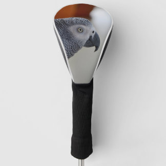 Majestätischer afrikanisches Grau-Papagei Golf Headcover