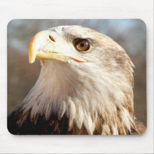Majestätischer Amerikaner Eagle Mousepad
