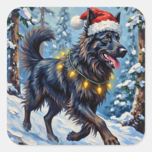 Majestätischer Belgischer Schäferhund Schnee Wald  Quadratischer Aufkleber