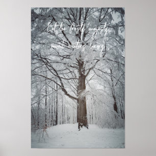 Majestätischer Buchenbaum im Winterwald Poster