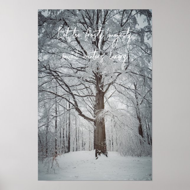 Majestätischer Buchenbaum im Winterwald Poster (Vorne)