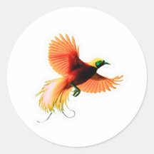 Majestätischer Cendrawasih-Vogel-Aufkleber - indon