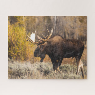 Majestätischer Elch in freier Wildbahn Foto Puzzle