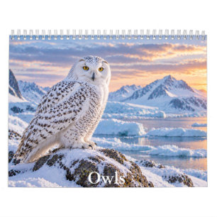 Majestätischer Eulen-Szenen-Wildlife-Kalender Kalender