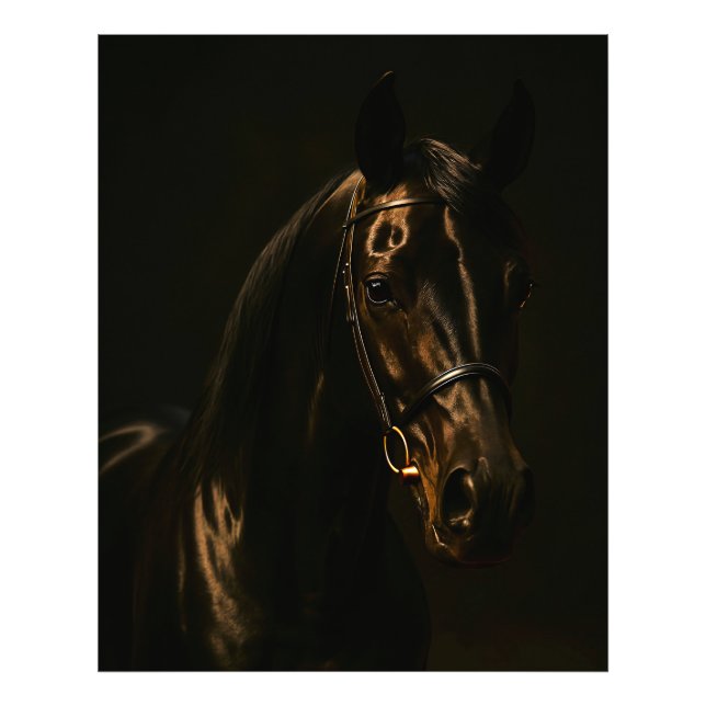 Majestätischer Fuchsbrauner Hengst im Dunkeln Fotodruck (Vorne)