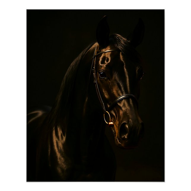 Majestätischer Fuchsbrauner Hengst im Dunkeln Poster (Vorderseite)