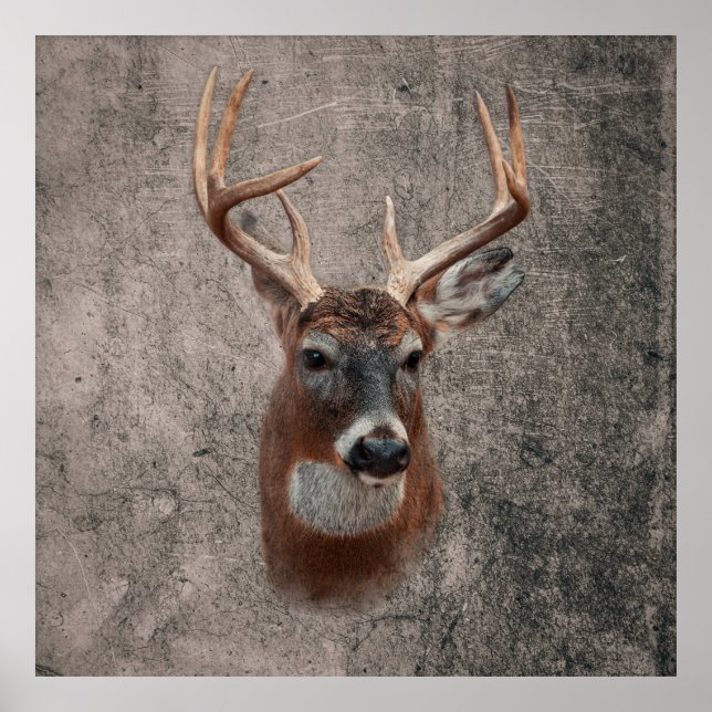 Majestätischer Hirsch vor rustikaler Kulisse Poster (Vorne)