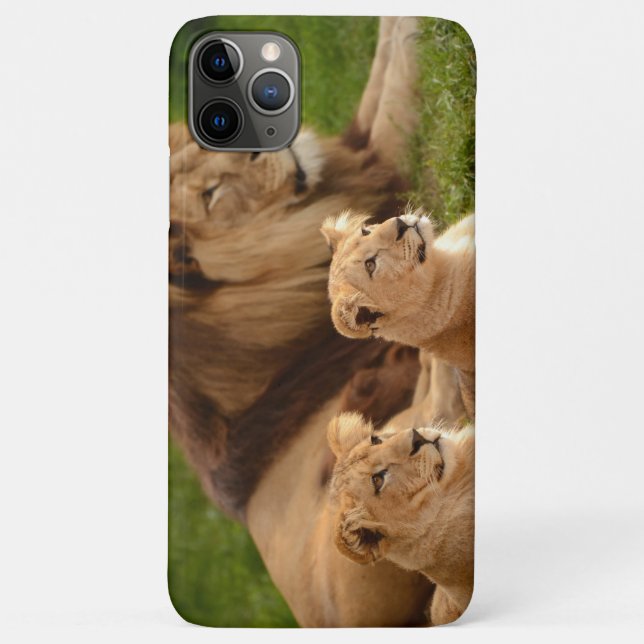 Majestätischer Löwe Handyhülle – Kühnes & Kraftvol Case-Mate iPhone Hülle (Rückseite)