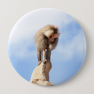 Majestätischer Pavian auf Berggipfel Button