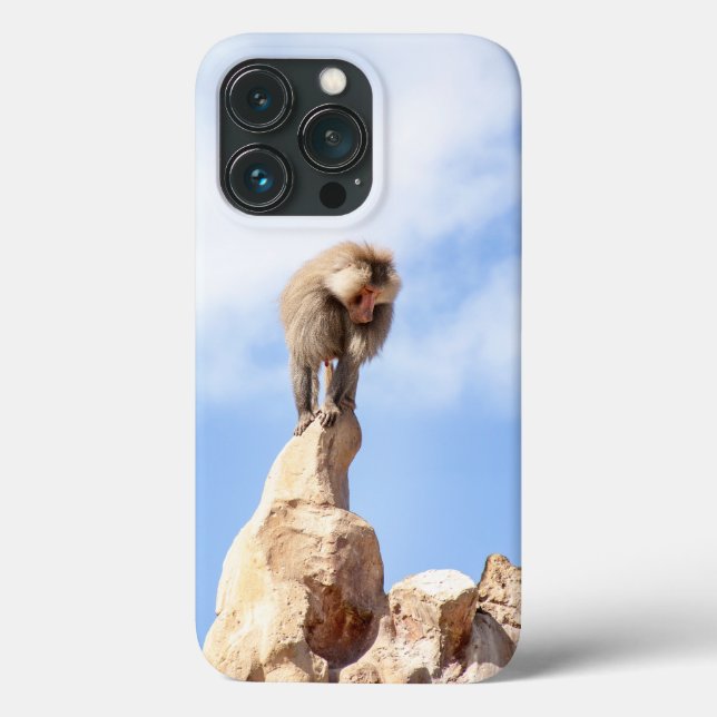 Majestätischer Pavian auf Berggipfel Case-Mate iPhone Hülle (Rückseite)