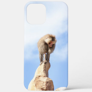 Majestätischer Pavian auf Berggipfel Case-Mate iPhone Hülle
