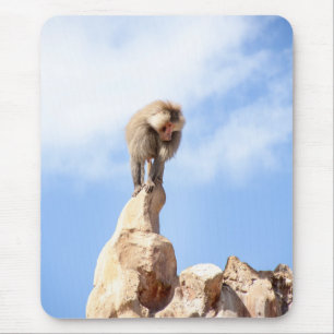 Majestätischer Pavian auf Berggipfel Mousepad