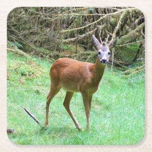 Majestätischer Rehbock Wald Natur Party Getränk Rechteckiger Pappuntersetzer