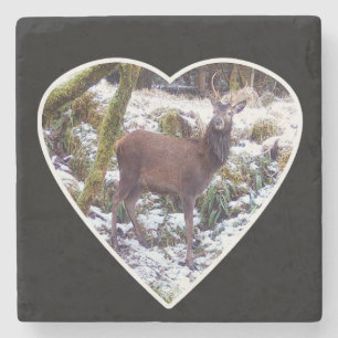 Majestätischer Rothirsch Hirsch Schneeige Winterla Steinuntersetzer