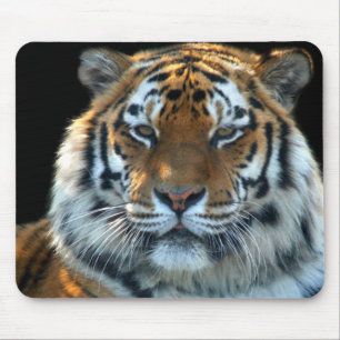 Majestätischer Sumatran Tiger Mousepad