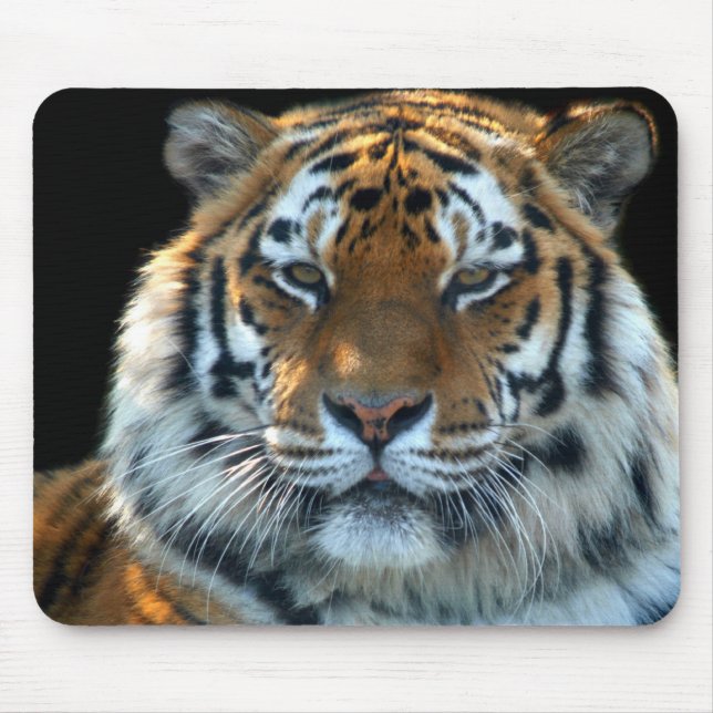 Majestätischer Sumatran Tiger Mousepad (Vorne)