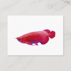 Majestätischer Super Roter Arowana Glücksdrachen F Visitenkarte