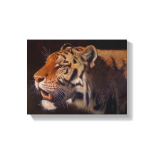 Majestätischer Tiger Klein