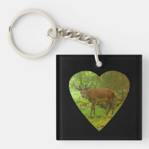 Majestätischer Vorsichtiger Geweihter Hirsch Kraft Schlüsselanhänger