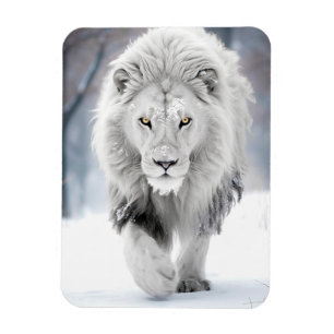 Majestätischer Weißer Löwe im Winter Wonderland De Magnet