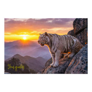 Majestätischer Weißer-Tiger-Sonnenuntergang Fotodruck