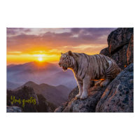 Majestätischer Weißer-Tiger-Sonnenuntergang 