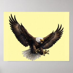Majestätischer Weißkopfseeadler im Flug - Wildlife Poster