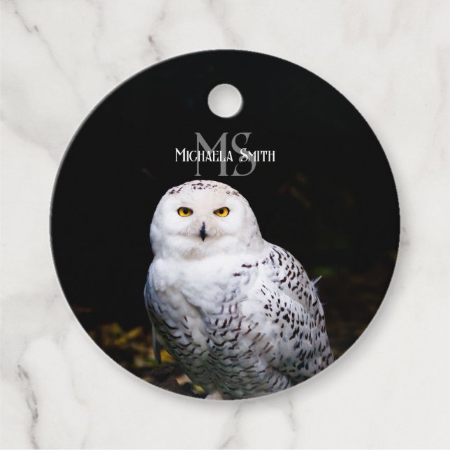 Majestätischer Winterschneeauuler Monogramm-indivi Geschenkanhänger (Vorderseite)