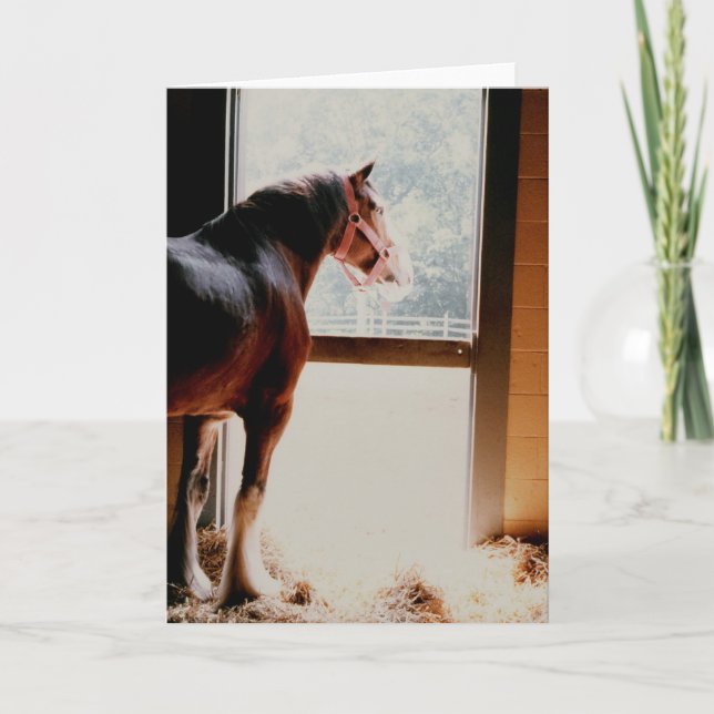 Majestätisches Clydesdale Karte (Vorderseite)