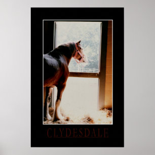 Majestätisches Clydesdale Poster