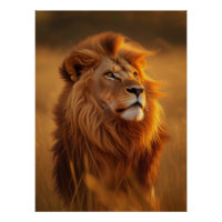 Majestätisches Goldenes Löwen-Sonnenuntergangs-Glo