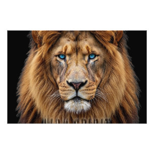 Majestätisches Löwengesicht mit blauen Augen Wil Fotodruck