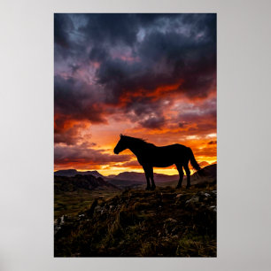 Majestätisches Pferdesilhouette Sonnenuntergang Po Poster