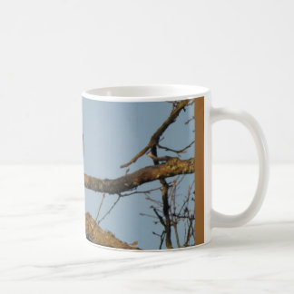 Majestätisches Scharfes Shinned Falke-Tasse Tasse