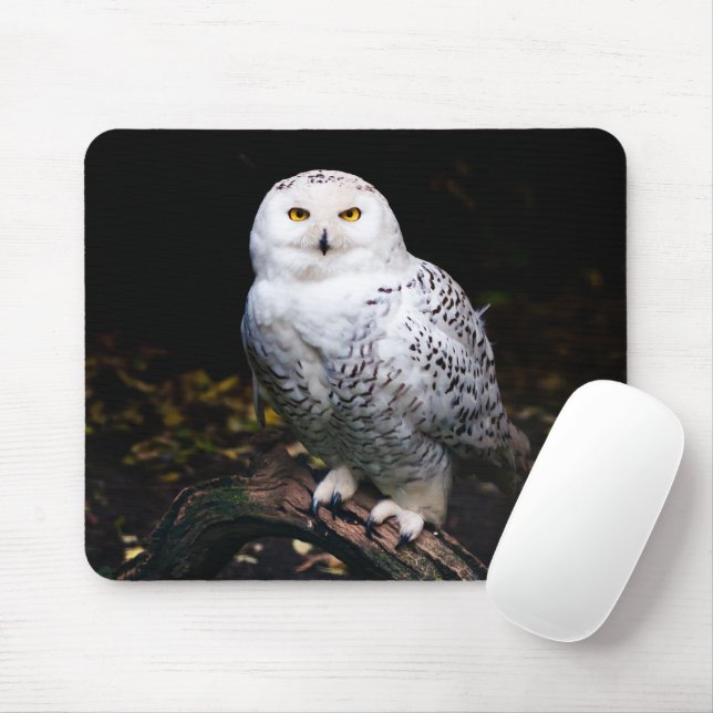 Majestätliche Winter-Schnee-Eule Mousepad (Mit Mouse)