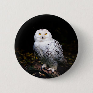 Majestätliche Winter-Schneeeule Button