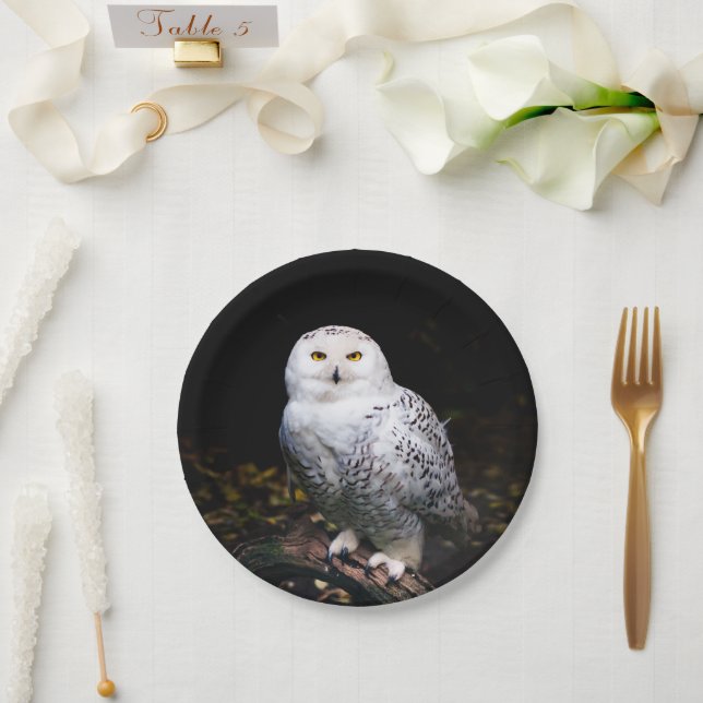 Majestätliche Winter-Schneeeule Pappteller (Hochzeit)