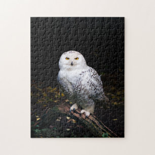 Majestätliche Winter-Schneeeule Puzzle