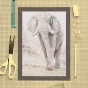 Majestic African Elephant Fotografy Seidenpapier