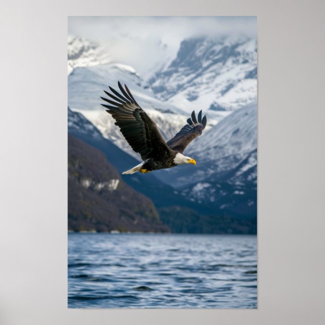 Majestic Bald Eagle fliegt tief über schneebedeckt Poster (Vorne)