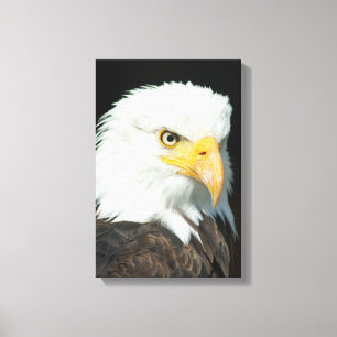 Majestic Bald Eagle Portrait Leinwanddruck