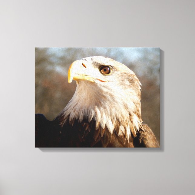 Majestic Bald Eagle Profil Leinwanddruck (Vorderseite)