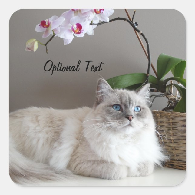 Majestic Balinese Cat Quadratischer Aufkleber (Vorderseite)