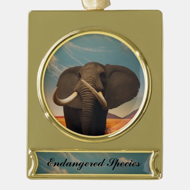 Majestic Banner-Ornament Gold (Vorderseite)