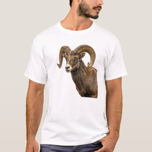 Majestic Bighorn Sheep auf Rocky Hillside T-Shirt