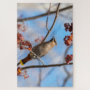 Majestic Bird, kanadischer Bohemischer Waxwing Puzzle