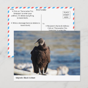 Majestic Black-Vulkankarte Postkarte