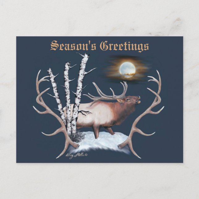 Majestic Bull Elk Postkarte (Vorderseite)