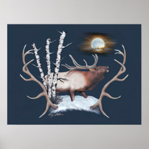 Majestic Bull Elk schluckt im Mondlicht Poster