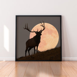 Majestic Bull Elk und Vollmond-Aufstieg Poster